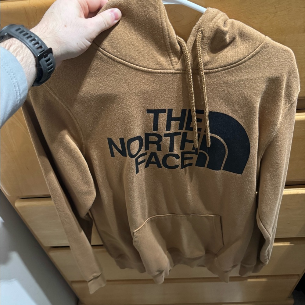 The North Face Brown Hoodie for Men